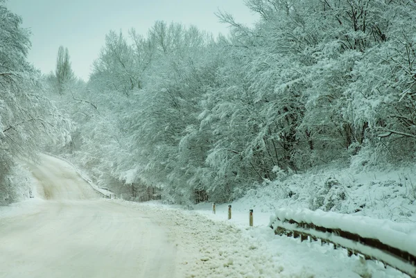 Snowy country road in woods — Stock Photo, Image