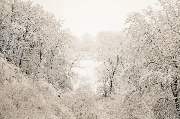 Paisaje invierno —  Fotos de Stock