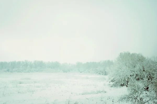 Winter landscape. Snow field . — Zdjęcie stockowe