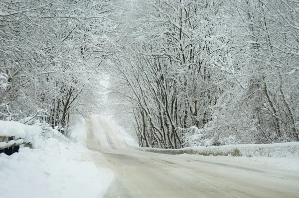 Paesaggio invernale. Strada nella neve — Foto Stock