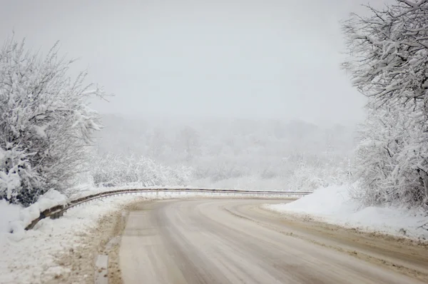 Paesaggio invernale freddo di una strada attraverso foresta — Foto Stock