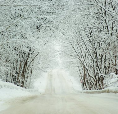 Soğuk kış manzara bir yol 