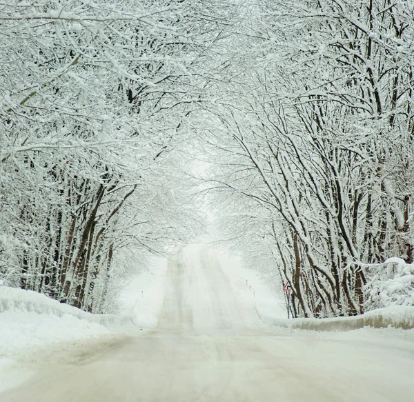 Paesaggio invernale freddo di una strada — Foto Stock