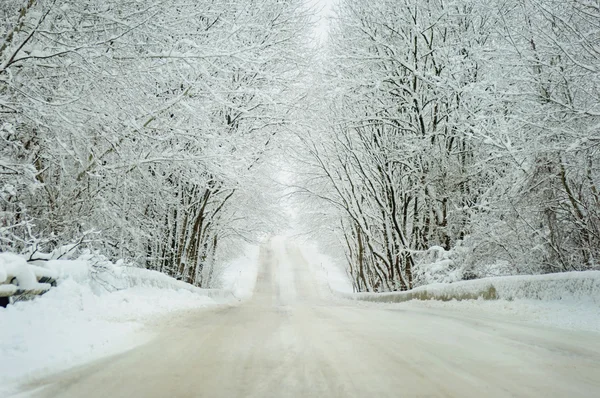 Paysage hivernal d'une route — Photo