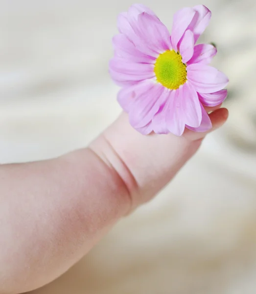 Close up of the baby charming small legs — Stock Photo, Image