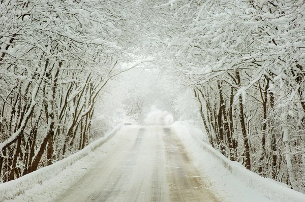 Estrada rural no inverno — Fotografia de Stock