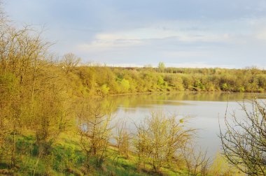 Göl ve ormanlı güzel bir manzara. 