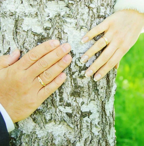 Hands of groom and bride Stock Image