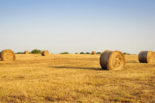 Haystack sul campo — Foto Stock