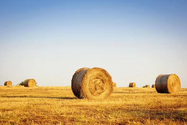 Campo de verão com fardos de feno no fundo — Fotografia de Stock