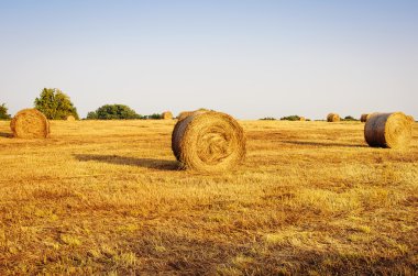 haystacks kırsal alanda inişli çıkışlı..