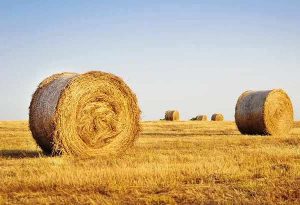 Krásná krajina se slámovými balíky na konci léta — Stock fotografie