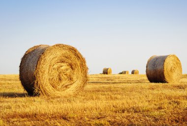 haystacks kırsal alanda inişli çıkışlı.. 