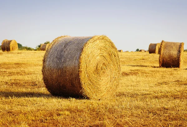 Vackert landskap med halmbalar i slutet av sommaren — Stockfoto