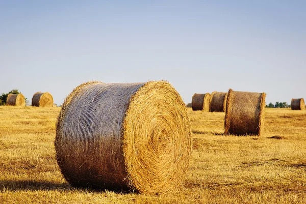 Vackert landskap med halmbalar i slutet av sommaren — Stockfoto