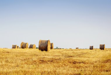 Yazın sonunda saman balyalarıyla güzel bir manzara.