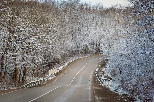 Camino de invierno en el paisaje de bosque nevado —  Fotos de Stock