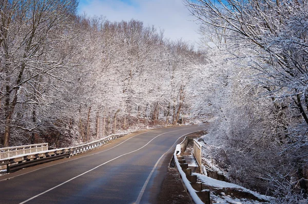 도 나무 눈 덮인 겨울 풍경 — 스톡 사진
