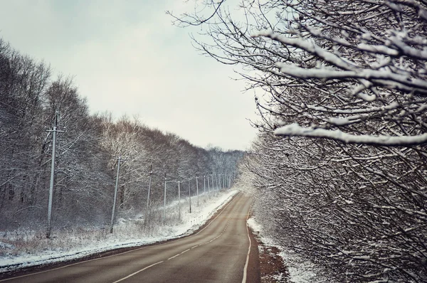 Vinterväg i snö skog — Stockfoto