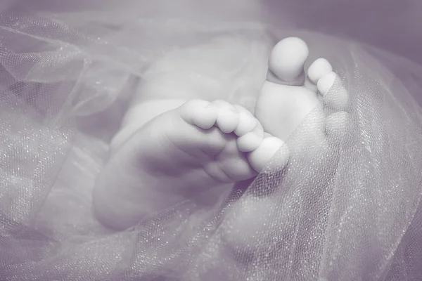 Baby's feet — Stock Photo, Image