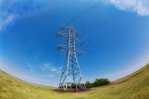 Fish-eye lens photo of high-voltage electric pilots — стоковое фото
