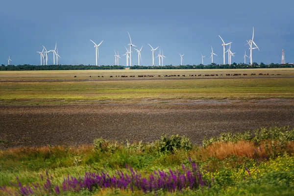 Wind turbines — Stock Photo, Image