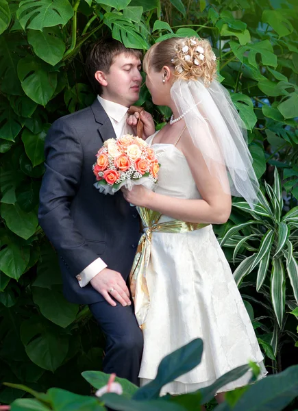 Juste un couple marié marchant sur le chemin dans la jungle — Photo