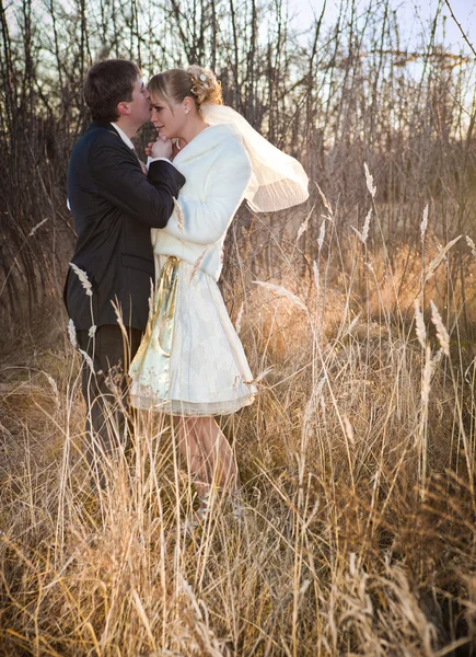 Groom and bride in the autumn  day — Stock Photo, Image