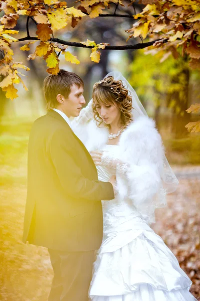 Groom and bride in autumn  day — Stock Photo, Image