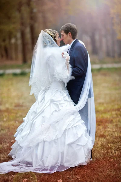 Groom and bride in autumn day — Stock Photo, Image