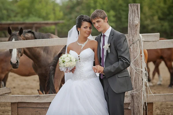 Novia y novio se paran cerca del refugio de caballos — Foto de Stock