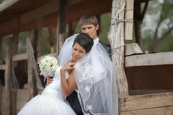 Brudgummen och bruden stå nära den häst skydd — Stockfoto