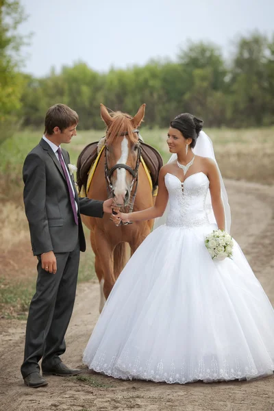 Novio y la novia durante el paseo contra un caballo marrón — Foto de Stock