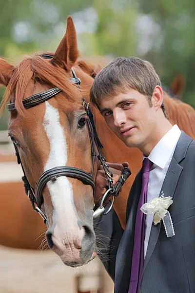 Bräutigam mit braunem Pferd — Stockfoto