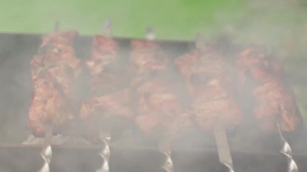 Appetizing hot shish kebab — Stock Video