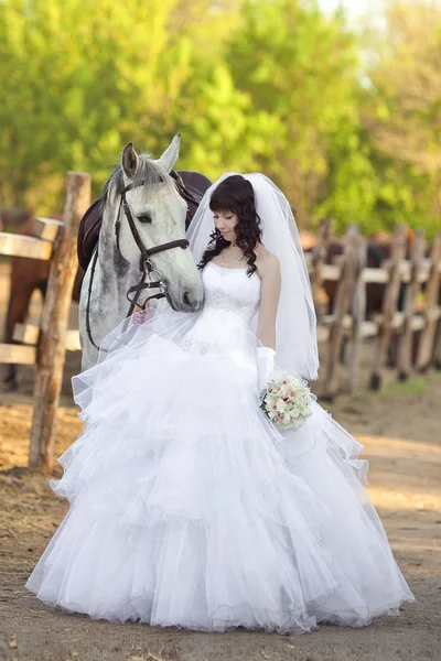 Bella sposa con un cavallo grigio — Foto Stock