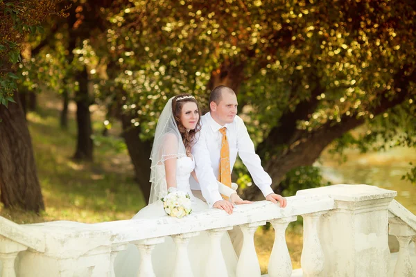 Sposo e la sposa durante passeggiata — Foto Stock