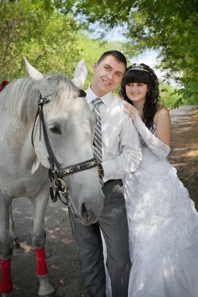 O noivo e a noiva durante o passeio no dia do casamento contra um cavalo cinza — Fotografia de Stock