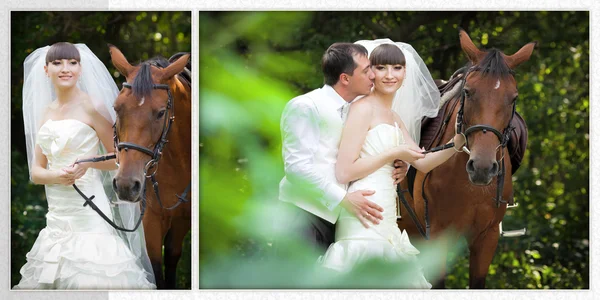 Sposo e la sposa durante la passeggiata nel loro giorno del matrimonio contro un cavallo — Foto Stock