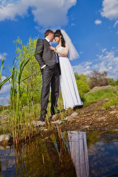 Coppia innamorata sposa e sposo insieme in giorno di estate nuziale — Foto Stock