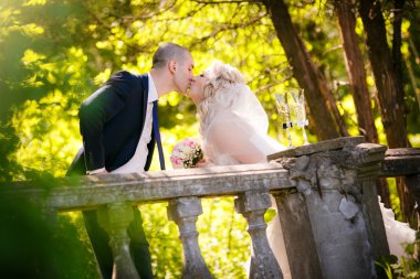 Damat ve gelin onların düğün günü Kiss Park'taki eski bir Küpeşte yakın: