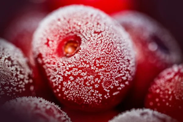 Close-up van bevroren rood kersenhout — Stockfoto