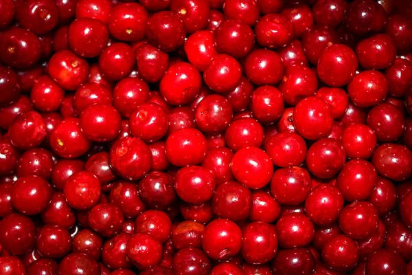 Red cherry background — Stock Photo, Image