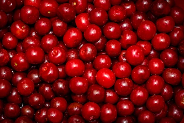 Cherry rode achtergrond — Stockfoto