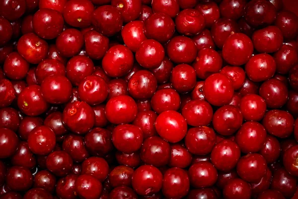 Red cherry background — Stock Photo, Image