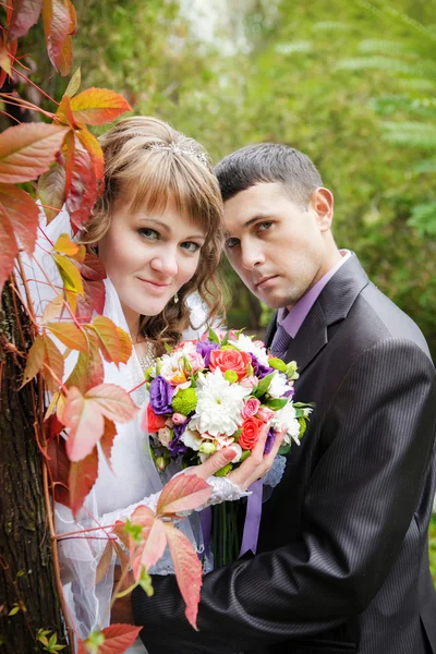 Just married couple with beautiful red autumn leaves in the background — Stock Photo, Image