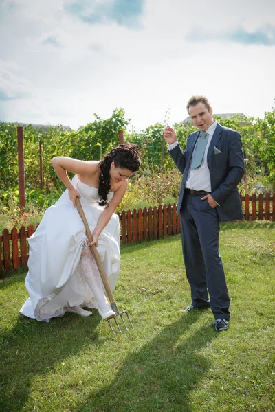 Sposa e sposo scava il terreno su un orto . — Foto Stock