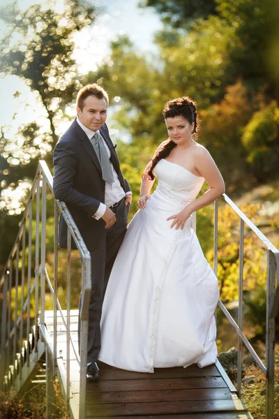 Novia feliz y novio en la escalera en el paseo de la boda . — Foto de Stock