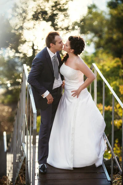 Novia feliz y novio en la escalera en el paseo de la boda. dulce beso —  Fotos de Stock