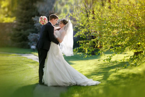 Bride and groom in the park — Stock Photo, Image